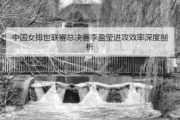 中国女排世联赛总决赛李盈莹进攻效率深度剖析